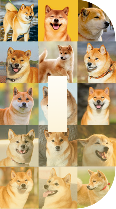 Dogecoin — Much Welcome