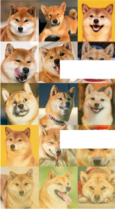 Dogecoin — Much Welcome