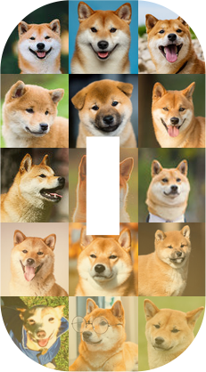 doge transparent png